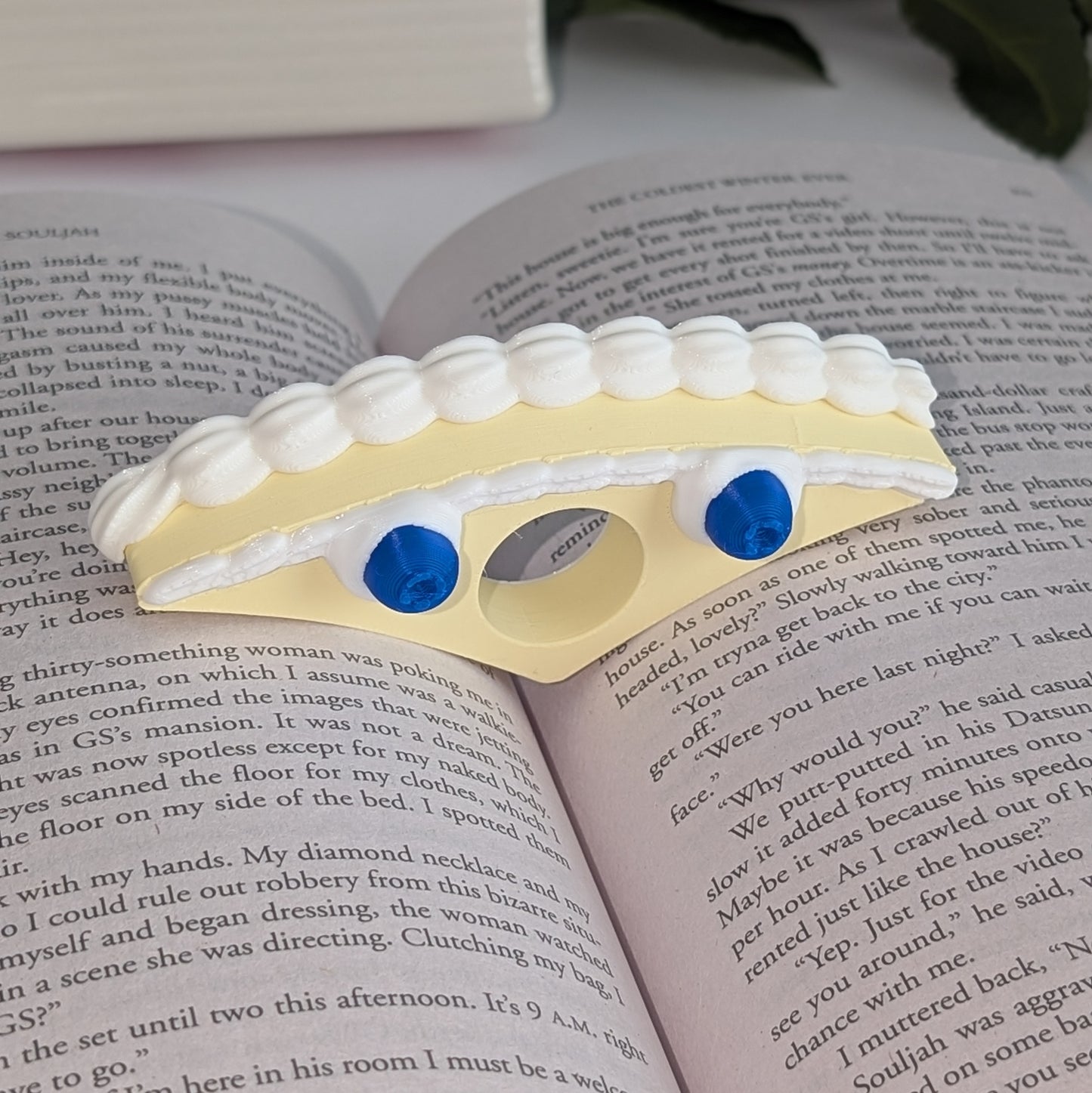 Cake Page Holder
