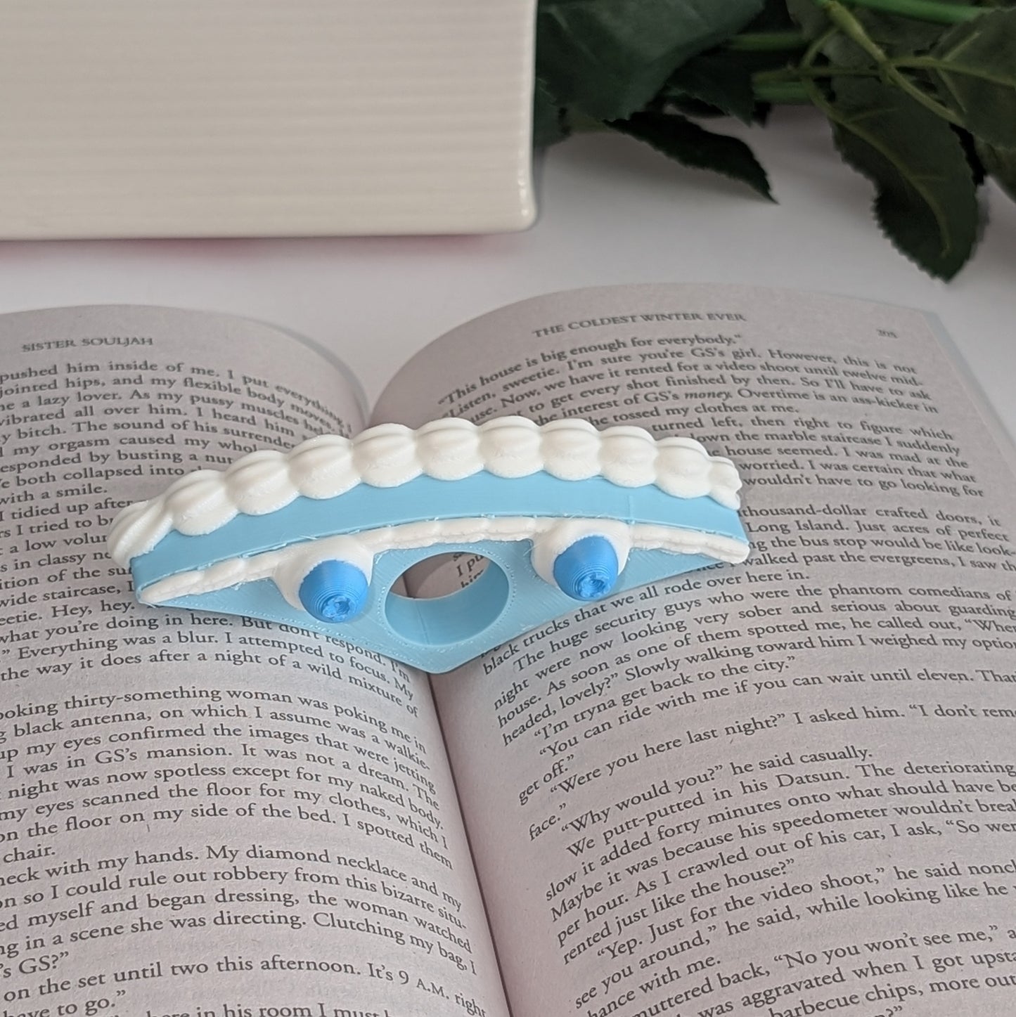 Cake Page Holder