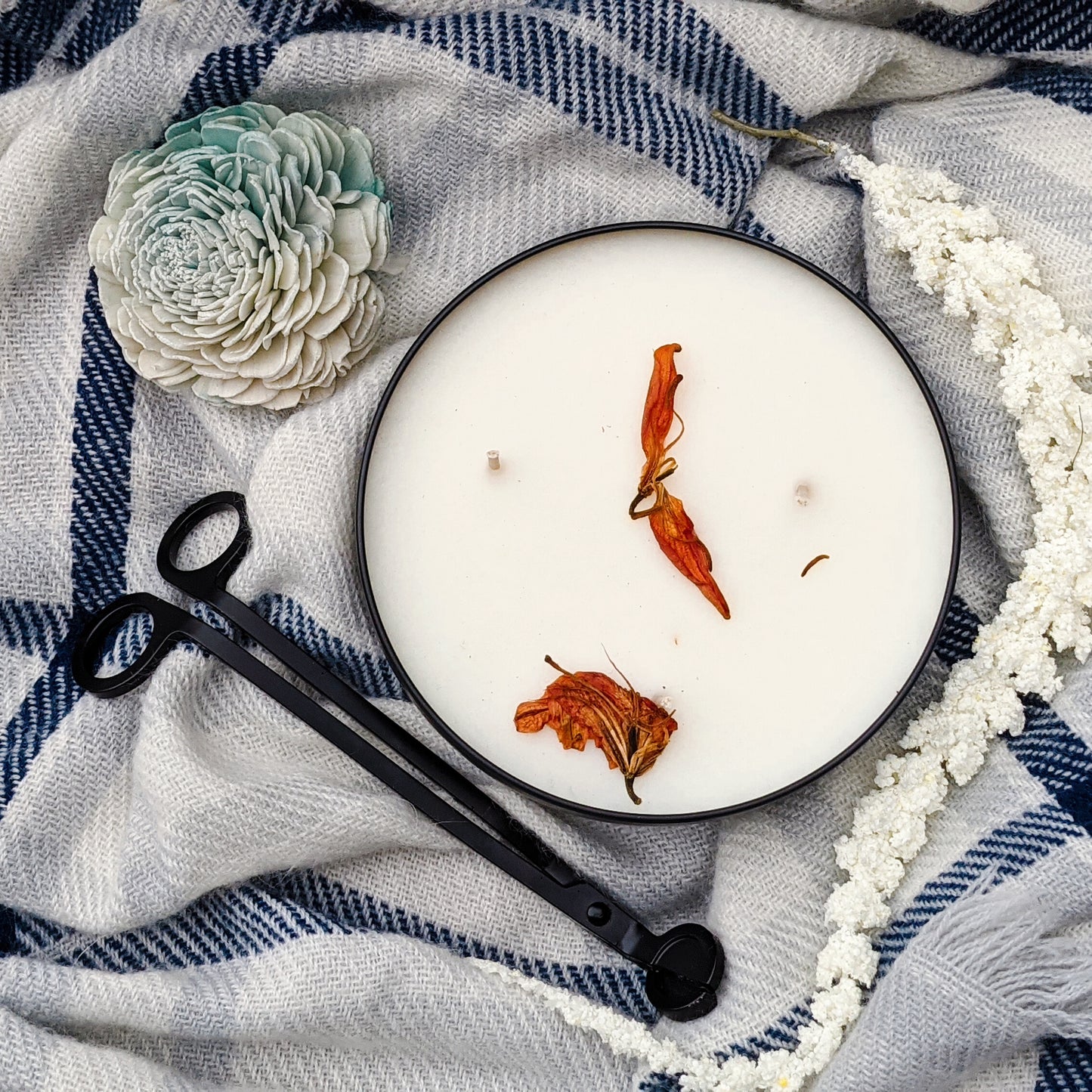 Tangy and Sweet - Miraca