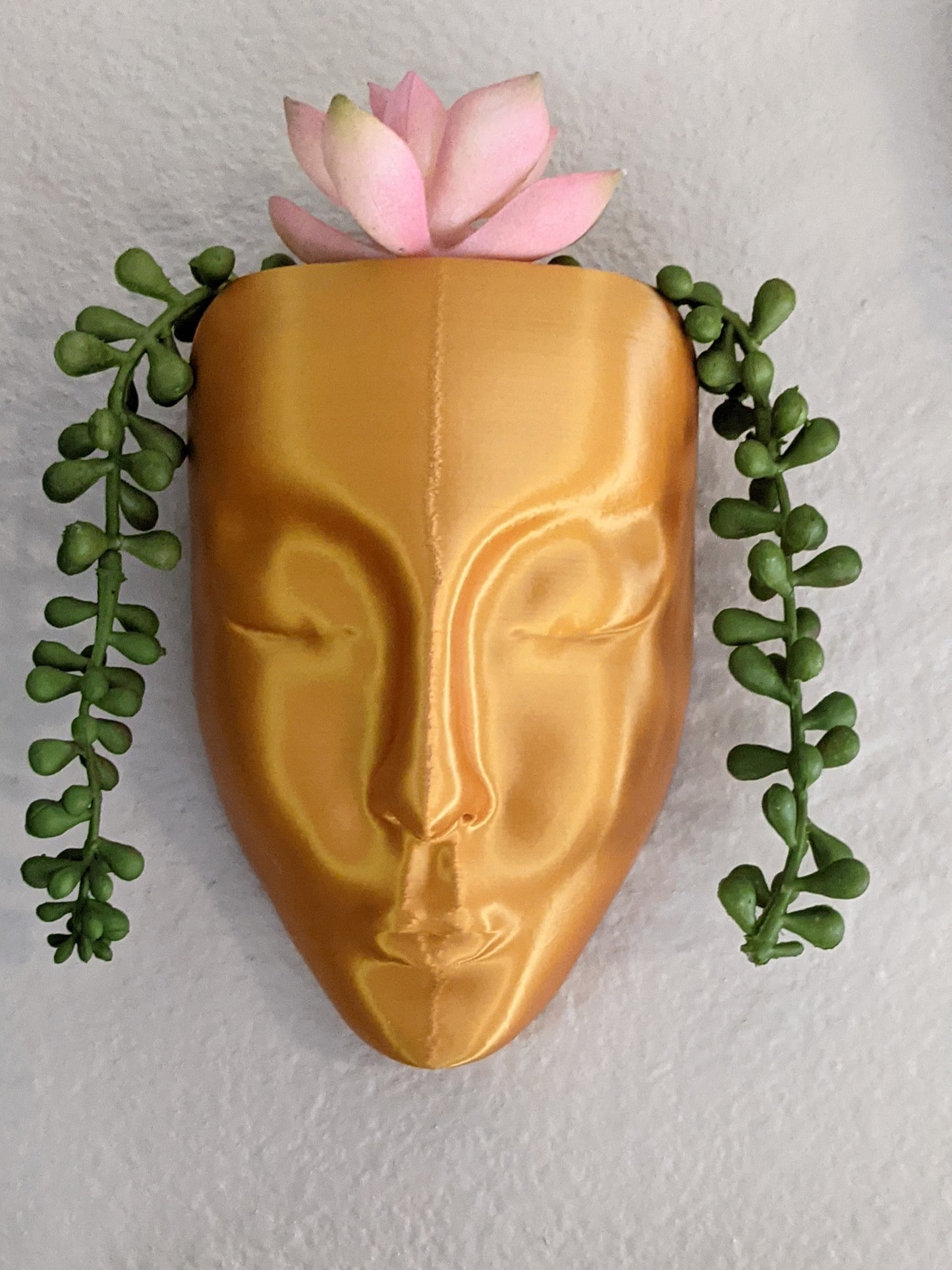Hanging Wall Pot - Face Planter