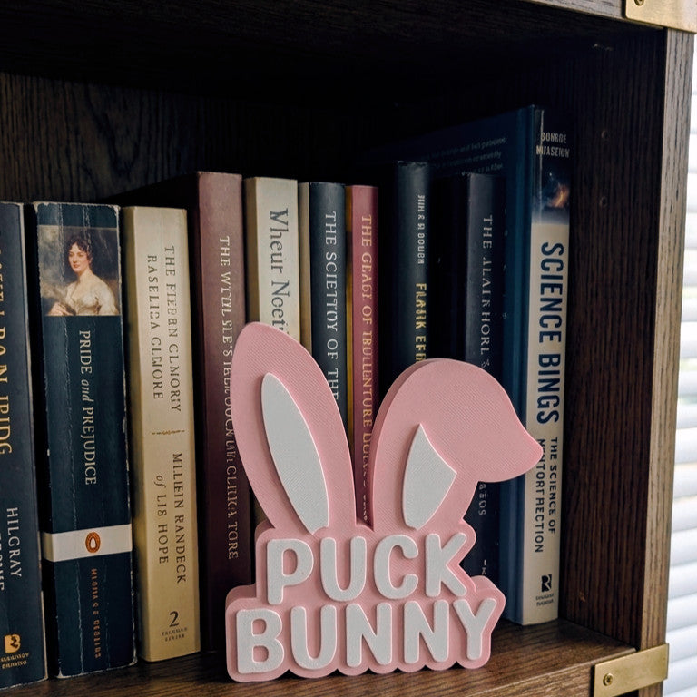 Puck Bunny Shelf Decor