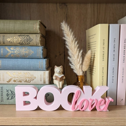 Book Lover Shelf Decor